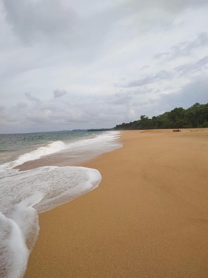 La Luciernaga Big Creek Bed & Breakfast Bocas del Toro Exterior photo