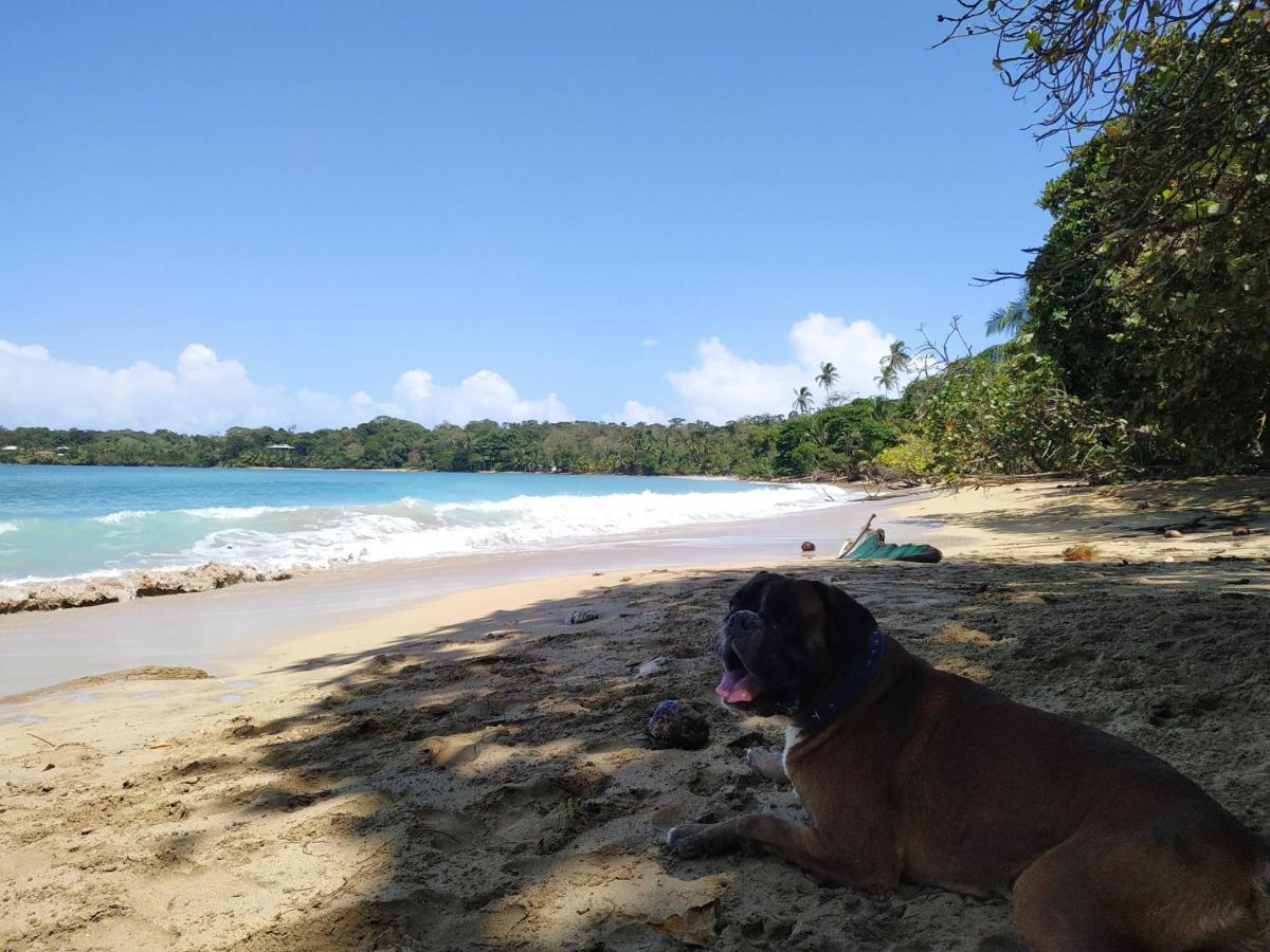 La Luciernaga Big Creek Bed & Breakfast Bocas del Toro Exterior photo